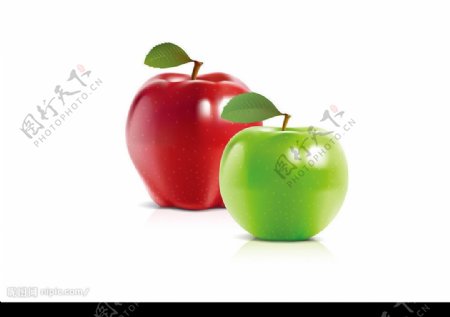 红苹果与青苹果图片