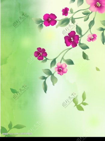 韩国设计花纹图片
