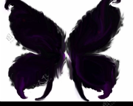 蝴蝶翅膀PSD文件图片