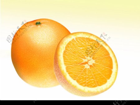 两只鲜橙图片