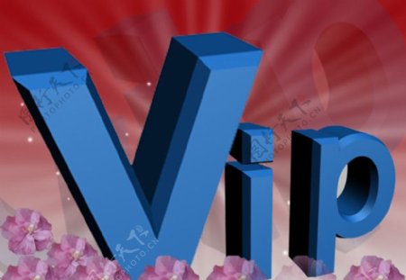 vip的字体图片