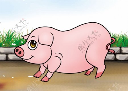 卡通十二生肖猪图片