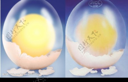 鸡蛋分层图图片