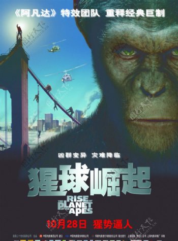 猩球崛起电影海报图片