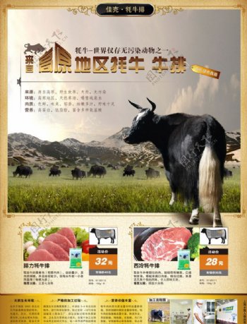 高原牦牛排广告版面图片