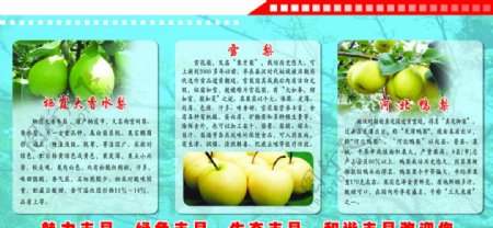 梨的品种介绍图片