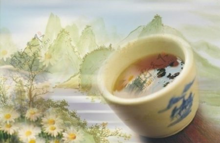 菊花茶广告图片