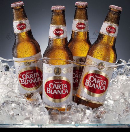 CARTABLA啤酒宣传广告图片