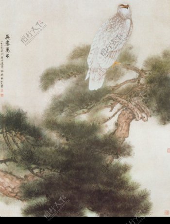 中国现代花鸟0174