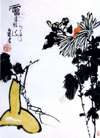 葫芦菊花