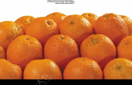 香橙0038