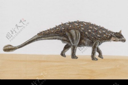 白垩纪恐龙0012