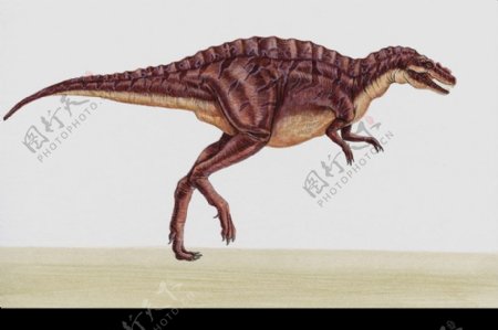 白垩纪恐龙0039