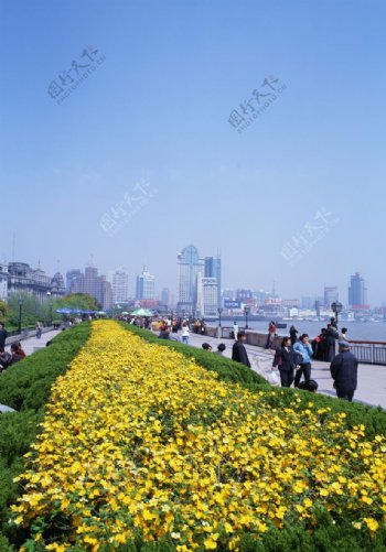 上海风景0066