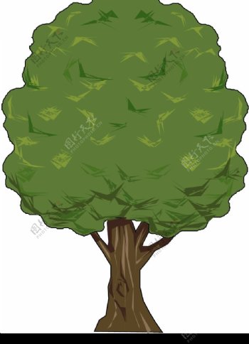 树木0611