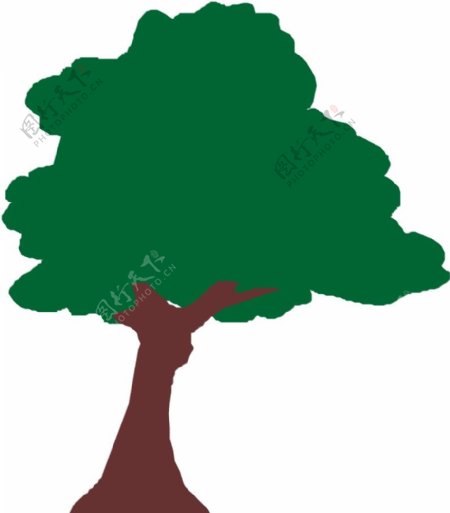 树木1496