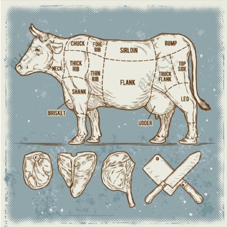 复古风格牛肉插图