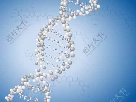 DNA双螺旋结构图