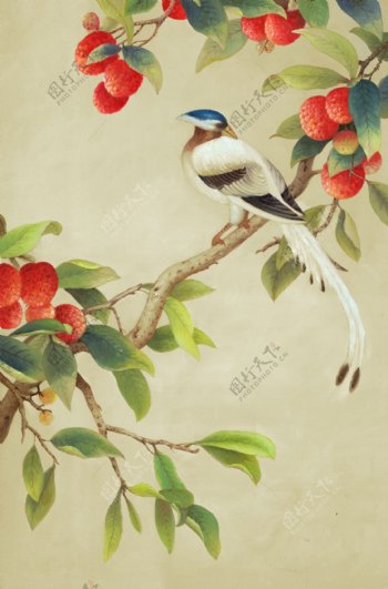 复古植物鸟雀工笔装饰绘画