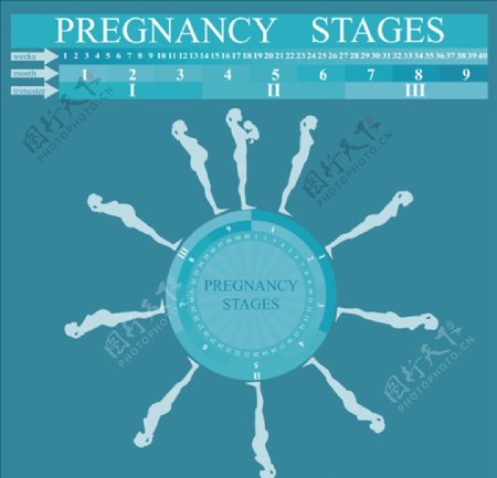 妊娠期图表模板