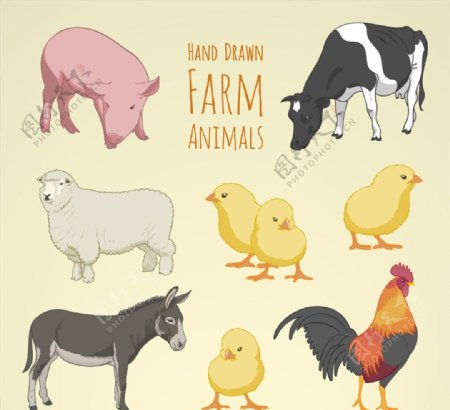 8款彩绘农场动物矢量素材