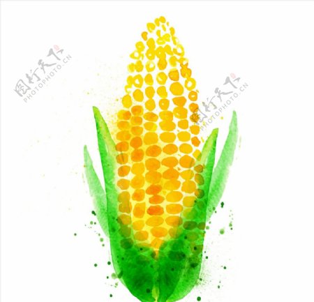 卡通水彩蔬菜玉米