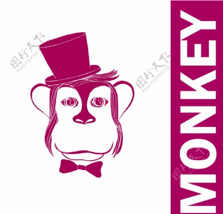 2016猴年设计