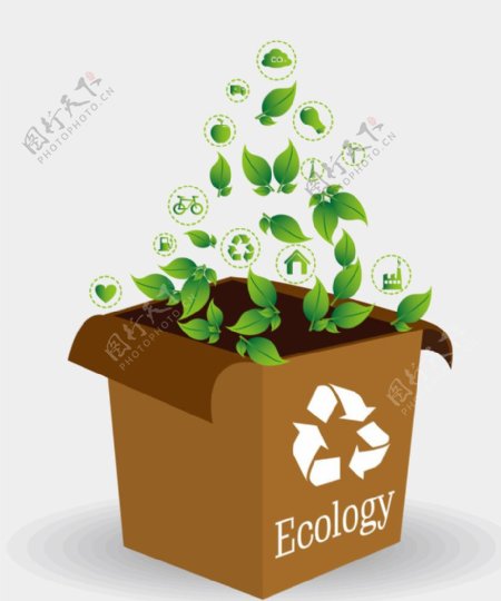 生态环保纸盒
