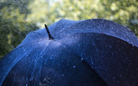 彩色雨伞