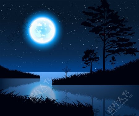 月光下的湖面和草木矢量素材