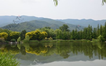 植物园风景