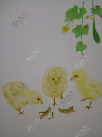 小鸡觅食蝗虫蚱蜢瓜虫油画