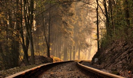 树林中的铁路