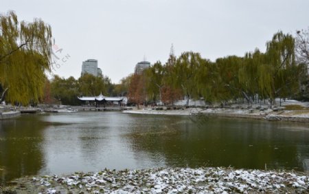 初雪陶然亭