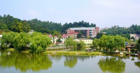 藕塘村风景