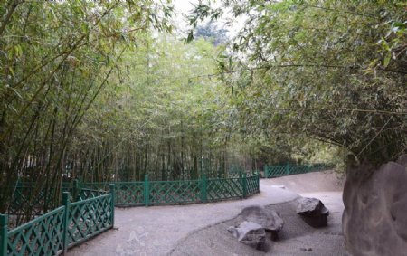 竹林小径园林设计