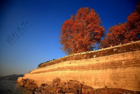 江夏风景