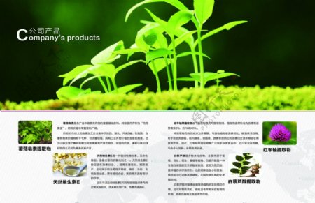 企业文化简洁大方绿色环保画册