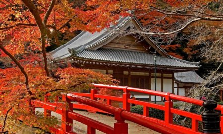 日本古典建筑枫叶红桥设计