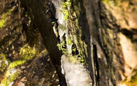岩石缝中的冰晶