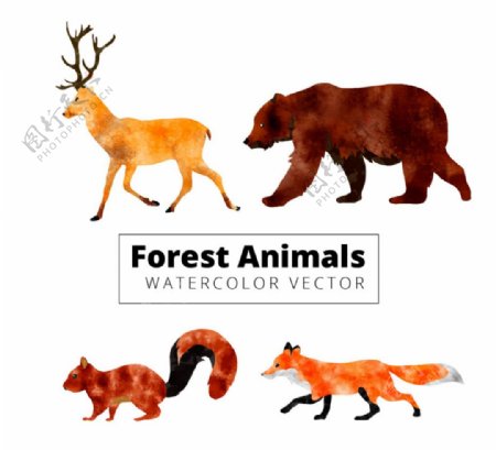 水彩绘森林动物