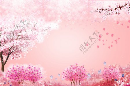 樱花粉色背景