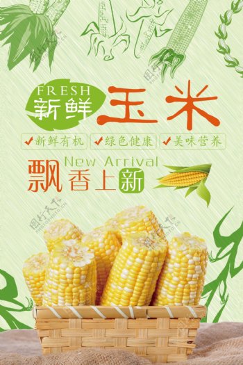 玉米宣传海报