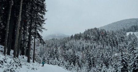 林海雪原