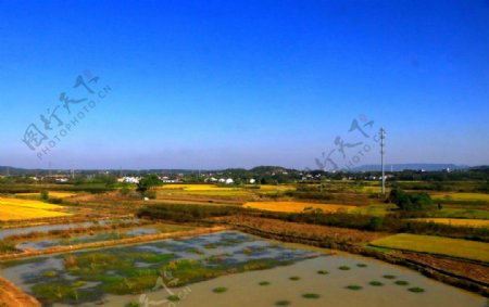 田园风光湿地