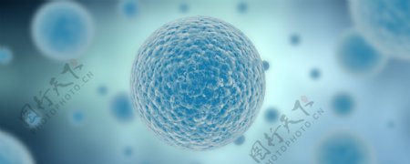 细胞图癌症细胞免疫细胞