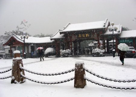 大雪中的趵突泉公园