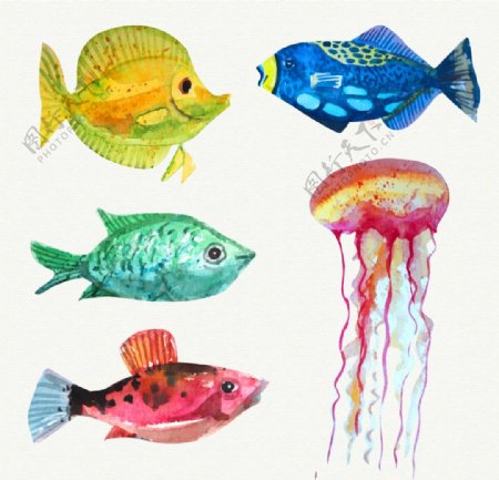 水彩画鱼和水母