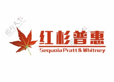 红杉普惠logo