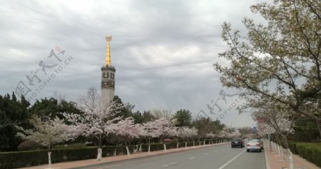 樱花季节的旅顺友谊塔